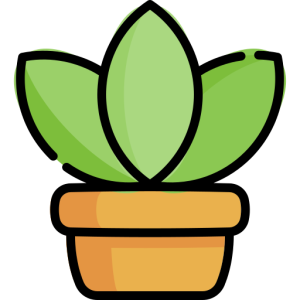 Indoor Plants
