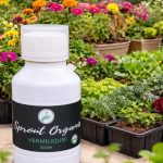 Vermiliquid fertilizer boosting growth in a kitchen garden