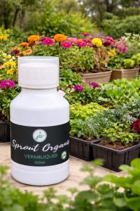 Vermiliquid fertilizer boosting growth in a kitchen garden