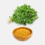 Methi