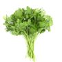 Parsley Italian
