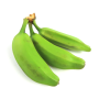 Plantain Green