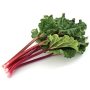 rhubarb